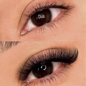 Eyelash extension